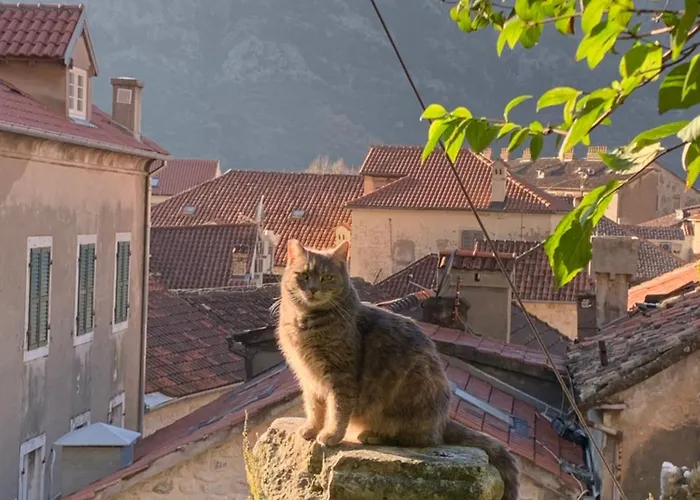 Charming Rooftop View