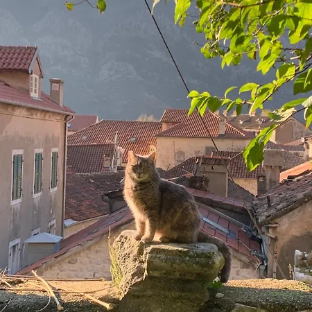 Charming Rooftop View Котор Экстерьер фото